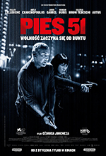 Pies 51
